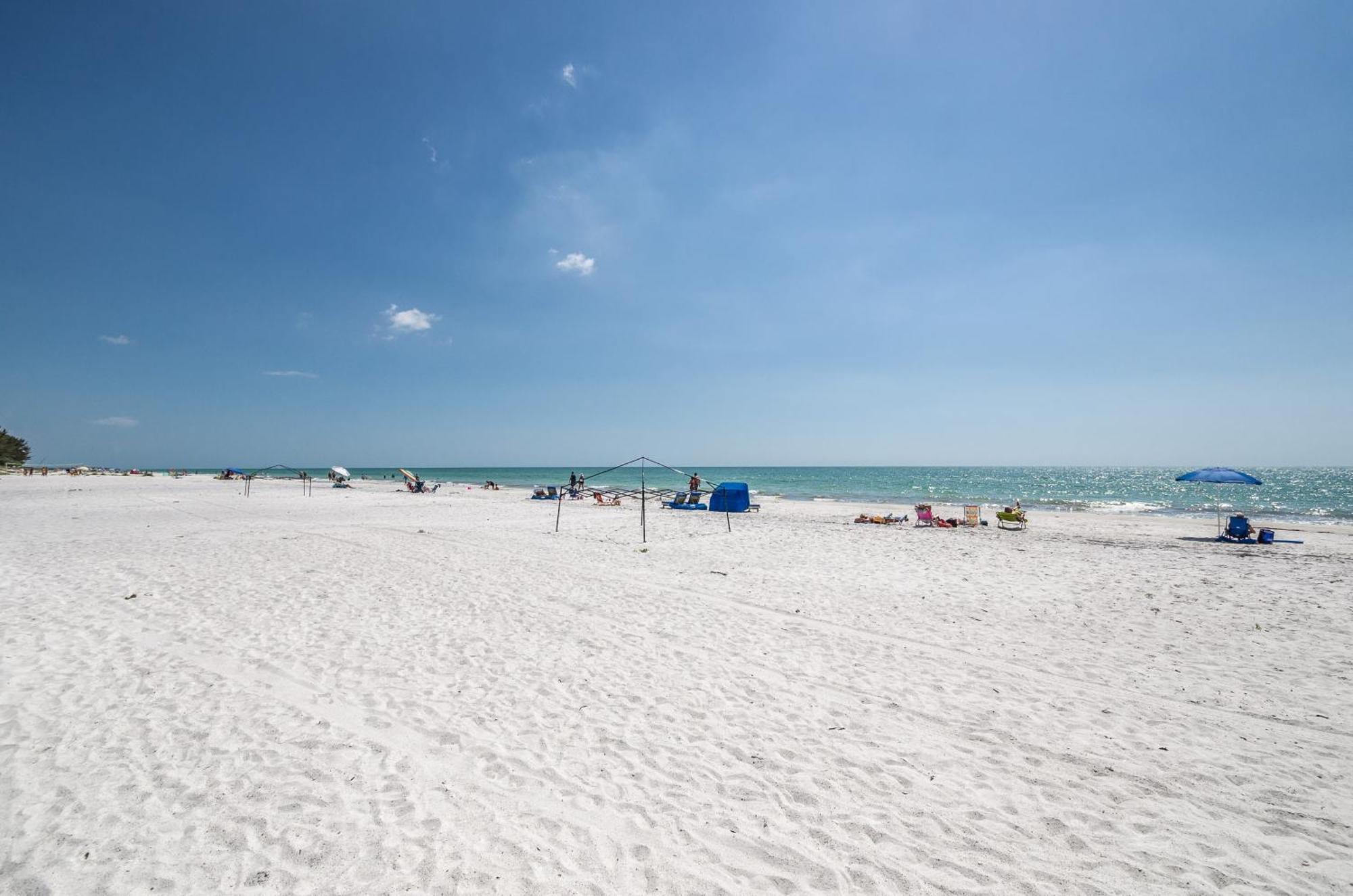 The Rose Aparthotel Clearwater Beach Luaran gambar